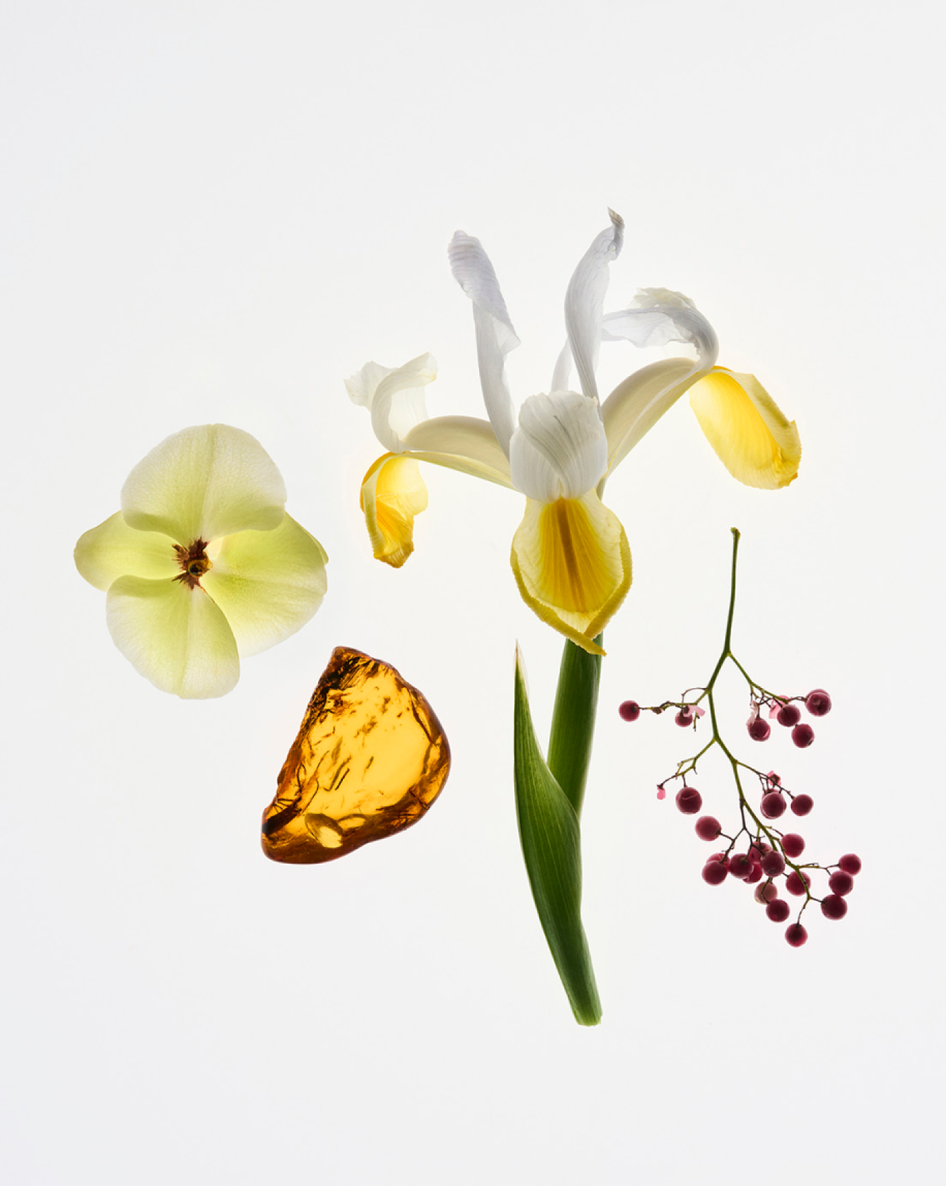 Rêve + You Travel Spray