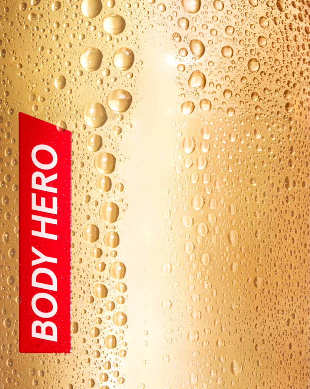 The Complete Body Hero Collection